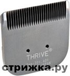   3   Thrive 305/605